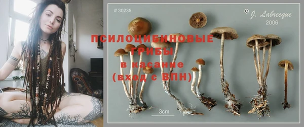 гашик Алзамай