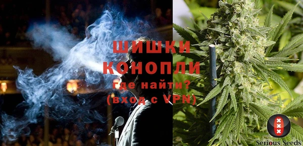 шишки Алексин