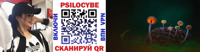 Галлюциногенные грибы Psilocybe  где купить наркотик  Котлас 