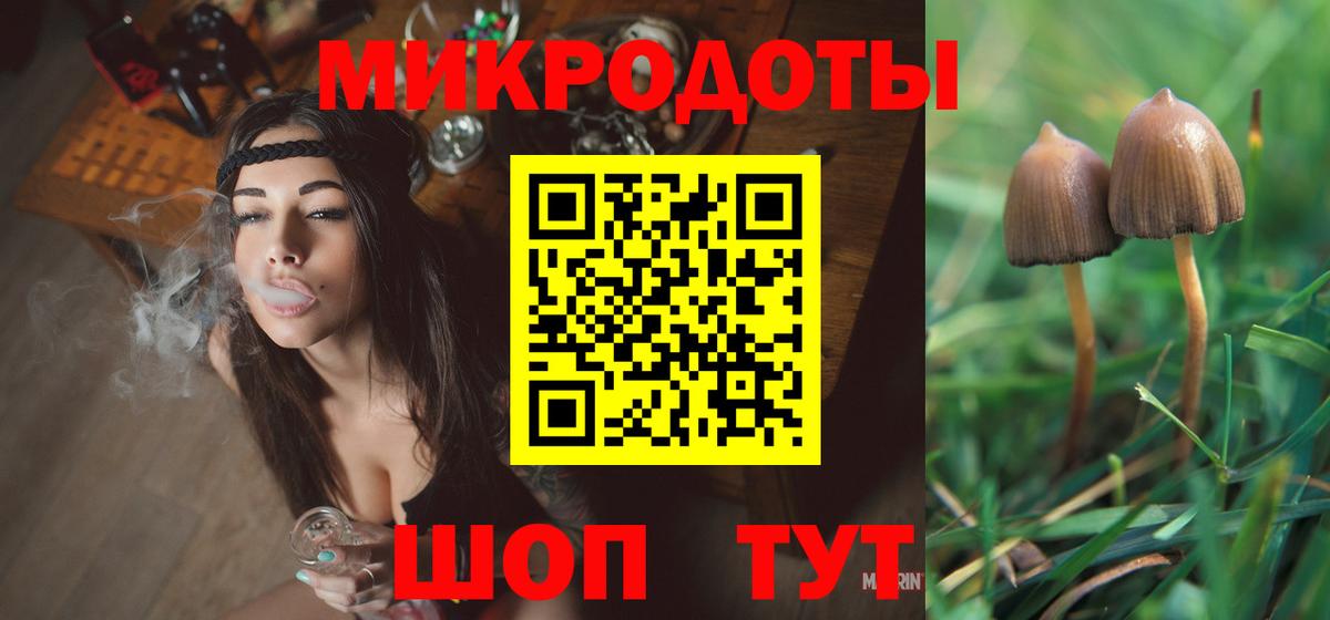 Псилоцибиновые грибы мицелий Котлас